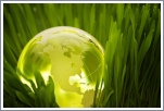 The Environment
